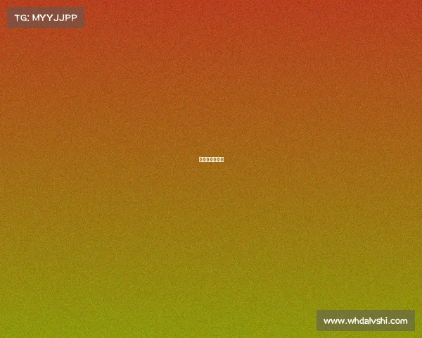 冠军赞助的球队